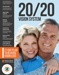 20 20 Vision System