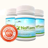 Noflam Anti-Arthritis Herbal Supplement
