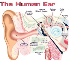reverse hearing loss review