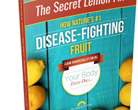 The Secret Lemon Fix Book