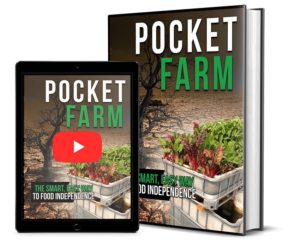 pocket farm
